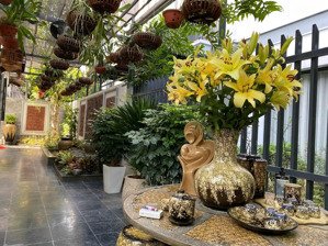 bán biệt thự 135m2 tại gamuda city, yên duyên, hoàng mai, hà nội, 46 tỷ vnd