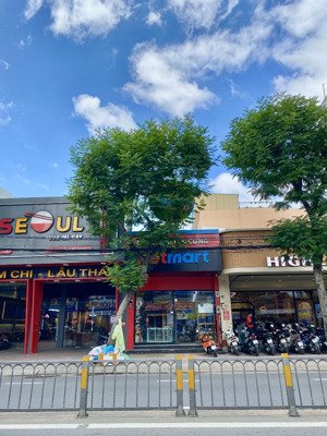 mặt tiền nguyễn thị thập gần lotte q7