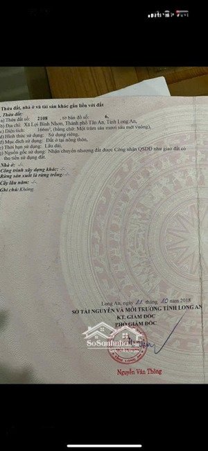 đất thổ giá rẻ nguyễn văn quá, lợi bình nhơn, tân an đầu tư sinh lời , tách được 2 lô tl