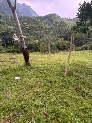 cạnh sân golf xã đồng tâm- lạc thủy- hòa bình, 7700m2 trong đó đã có ( 400m2 thổ cứ + 7300m2 cln)
