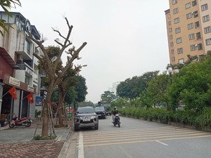 bán siêu phẩm đấu giá vip giang biên việt hưng đường 21m dt 100m²