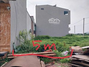 chính chủ bán lô đấu giá ngải dương, đình dù, văn lâm sát kcn phố nối a đầy tiềm năng phát triển