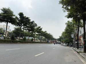 siêu phẩm tòa nhà căn hộ mini thang máy ô tô đỗ cửa - dòng tiền ổn định