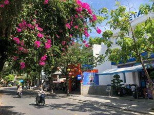 bán nhà mặt phố hai bà trưng hội an
