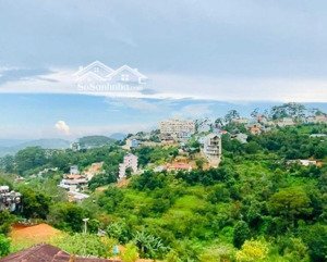 bán đất hoàng hoa thám, có sẵn nhà 28 tỷ, 540.6m2, (284m2 thổ cư) view rừng thông tuyệt đẹp