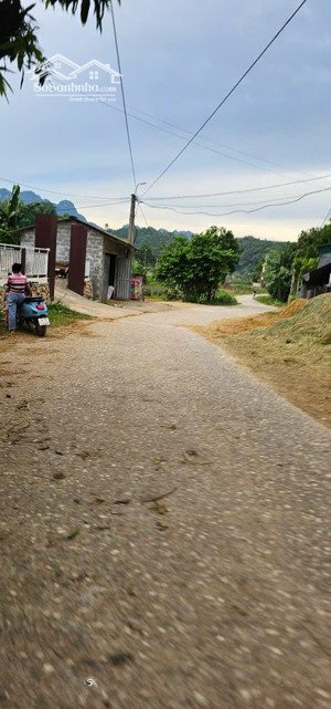 chính chủ cần bán 8.000m2 đất khoáng nóng tại kim bôi, hòa bình