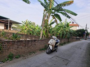 bán đất xuân khôi, long biên, 87m2, mt 4.7m, giá 5.7 tỷ, gần ô tô tránh không khí xanh sạch an sinh