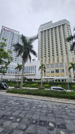 chính chủ gửi bán biệt thự vườn đào, đối diện lotte, diện tích 372m2, mặt tiền 15m, xây 5 tầng.