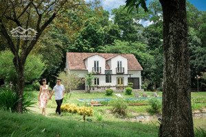 bán khu nghỉ dưỡng vân hòa, ba vì dt gần 6000m2 đã có 2 biệt thự 2 bungalow dòng tiền 300tr/th