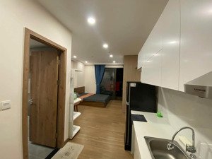 bán ch sky oasis, 1,89 tỷ, 30m2, 1pn, 1wc, đầy đủ nội thất, hướng đông nam