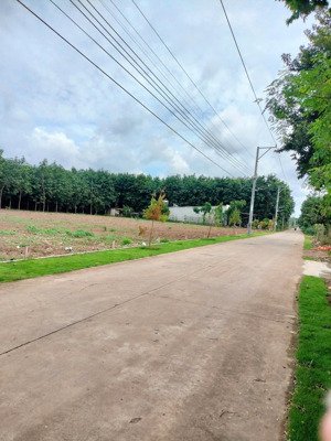 bds giá rẻ cho công nhân. đầu tư siêu lợi nhuận