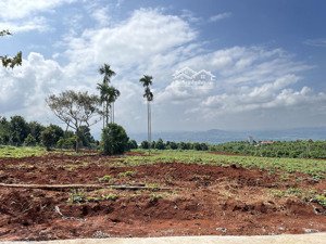 490 triệu đất đẹp lâm hà | view săn mây cách chợ tân hà 3km