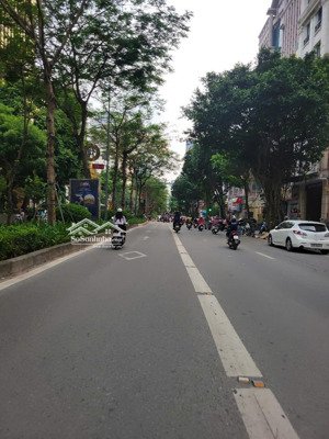 bán nhà mặt phố giảng võ, kim mã, ba đình 99m2 105 tỷ