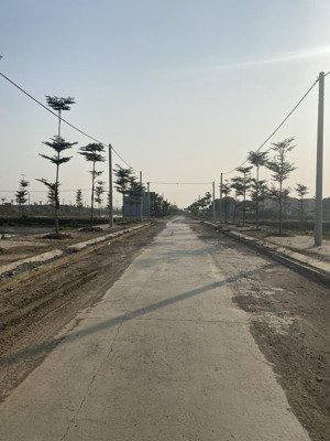 chính chủ cần bán lô đất thuộc gia vượng, gia viễn, ninh bình