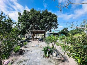 bán đất có nhà cấp 4 tại tân lý 1, tân bình, lagi, bình thuận