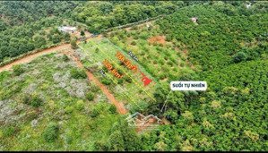 chính chủ bán 746m2 sẵn 200m2 thổ cư giáp suối tự nhiên tại thôn 4 tân lạc, bảo lâm