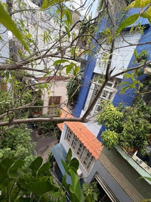 chính chủ bán nhà 3 tầng - hẻm xe hơi nguyễn tri phương - q10 - dt: 4x13m - giá nhỉnh 10 tỷ