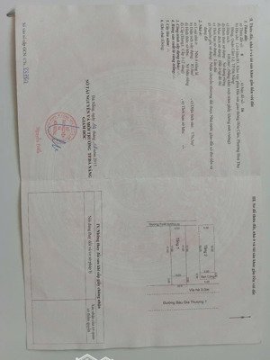 bán gấp nhà riêng 3pn, 2wc, 100m2, 4,6 tỷ tại bàu gia thượng 1, hòa thọ đông, cẩm lệ, đà nẵng