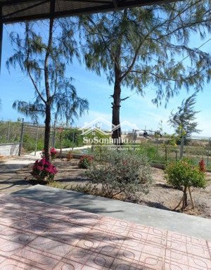 bán homestay ngay mặt biển cửa cạn - bình thuận dt 263m2