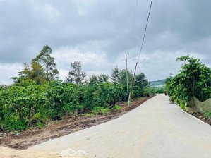 lô đất giá đầu tư tại vùng ven đà lạt 200m2 sẳn thổ cư chỉ 450tr