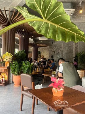 bán gấp siêu phẩm đường 3/2 p.14 quận 10 dt 8m x 12m 4 tầng không lỗi hđ 60 triệu/tháng giá 26 tỷ