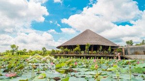 bán 4 nền khu a/b/c tại dự án kđt làng sen việt nam - vị trí đẹp - giá đầu tư và dễ dàng an cư