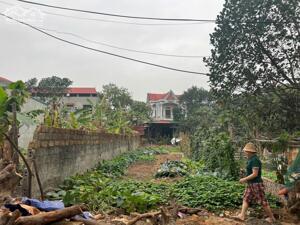 Bán đất Đôn Hậu, Khai Quang, Vĩnh Yên. DT 133m2 Giá 21tr/m2