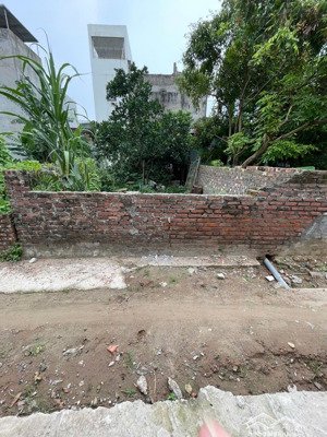 bán 77m2 ngọc giang, vĩnh ngọc. đường thông, ô tô vào tận đất sát dự án tp thông minh