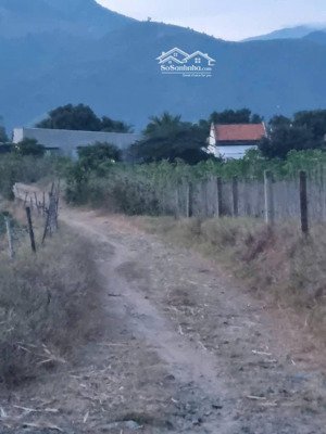 chủ cần tiền bán gấp. chỉ 600tr. đất tại ninh thượng, ninh hòa, dt: 3056.8m2. đầu tư sinh lợi cao