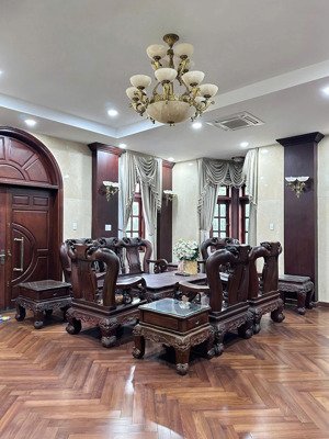biệt thự nguy nga khu vip bình phú quận 6 (8 x 16) giá 16,8 tỷ