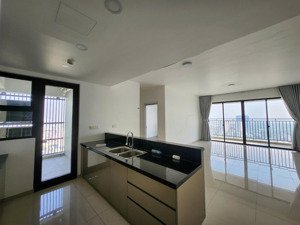 cho thuê căn hộ nội thất dính tường 3pn, 2wc, 125m2,giá chỉ 30 triệu tại the view tân phú, q7, hcm