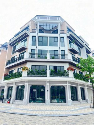 chính chủ cần bán lô shophouse góc mặt phố đi bộ 230m các tầng thông sàn có thang máy.lh 