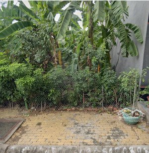 bán đất tại phú mỹ, quận 7, hcm, 112 triệu / m2, 90 m2, giá ưu đãi, view đẹp