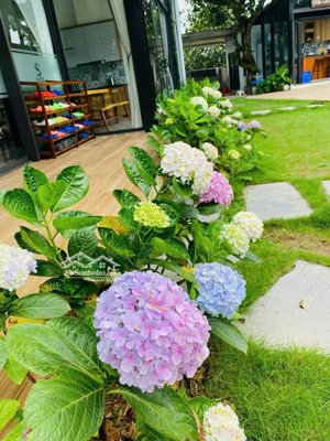 tặng full nội thất nhà đẹp nguyễn sơn 65m2 - , mt 3,8- 5 tầng thang máy