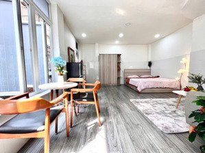 cho thuê căn hộ studio cửa sổ thoáng q1 gần ngã năm cống quỳnh, công viên 23 tháng 9, bitexco