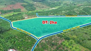 bán 2ha cao su cách 1km đường 675, xã ia tôr, chư prông, gia lai, 1,95 tỷ