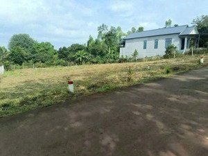 bán gấp đất tại xã bàu chinh, châu đức, bà rịa vũng tàu, 650 triệu, 150m2