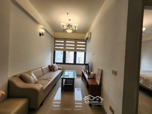 cho thuê chung cư mini 55 m2, 8,2 triệu, đường 236 âu cơ, quảng an, tây hồ, hà nội