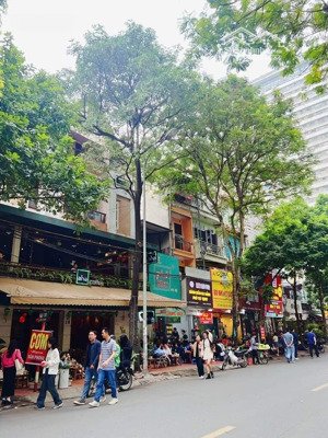 săn lùng ngay! mặt phố nguyễn khánh toàn, 190m2, 4 tầng, 2 mặt trước sau cực chất