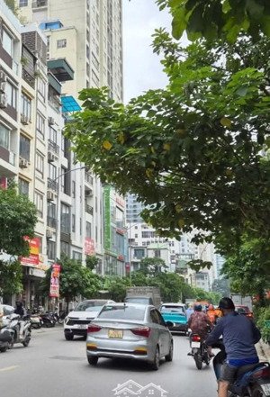 [dòng tiền 1.2 tỷ/năm] nguyễn khánh toàn : 7 tầng thang máy 1 cửa hàng kd và 15 chdv cho thuê