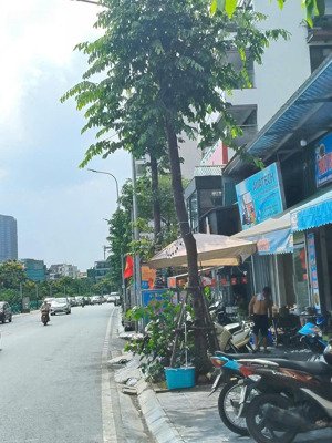 cho thuê nhà 5 tầng mặt phố tô ngọc vân quảng an tây hồ hà nội:0981222026