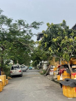 bán đất phân lô dịch vụ tây nam linh đàm giá rẻ nhất khu vực! 60m mặt tiền đẹp kinh doanh
