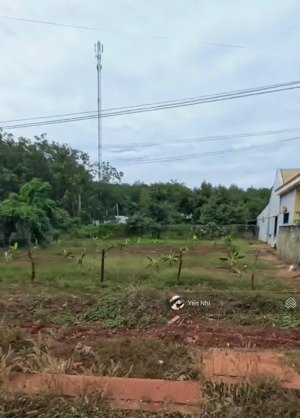cần bán đất mt long tâm, long tân, phú riềng, bình phước. dt 120m2, shr