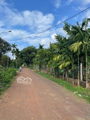 đất siêu đẹp - giá đầu tư- cần bán lô đất tại n7 buôn ju , phường tân an, đắk lắk