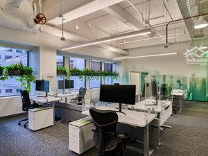cho thuê nhà mặt phố trần quốc hoàn cầu giấy, 50m x 6 tầng giá chỉ 40tr lh 