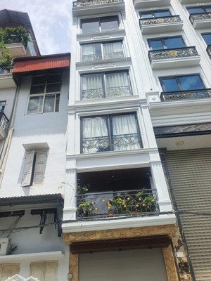 bán nhà phân lô vip trần quý kiên - cầu giấy ô tô tránh vỉa hè - thang máy kinh doanh tốt .