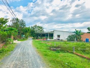 bán đất 384m2 ấp trảng sa, xã đôn thuận, trảng bàng tây ninh 550 triệu