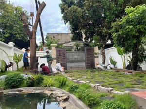 bán nhà gỗ (8x20m) gần đường nguyễn thị minh khai, p. tân bình, tp. dĩ an