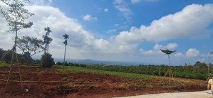 đất view săn mây ven đà lạt giá tốt 680 triệu, 344 m2