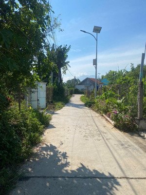 chính chủ gửi bán lô đất dân cắt ra bán tại phường ninh hoà ( xã ninh phụng cũ)